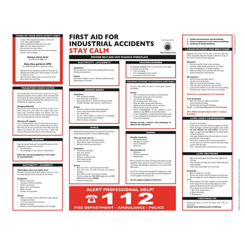 FIRST AID PLAAT 2024 (ENGELS) 390 X 300 MM